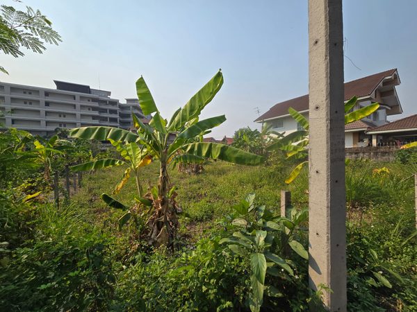 ที่ดินเปล่า พร้อมขาย ทำเลดี ติดศูนย์ประชุมและแสดงสินค้าเชียงใหม่